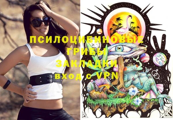 ALPHA-PVP Бородино
