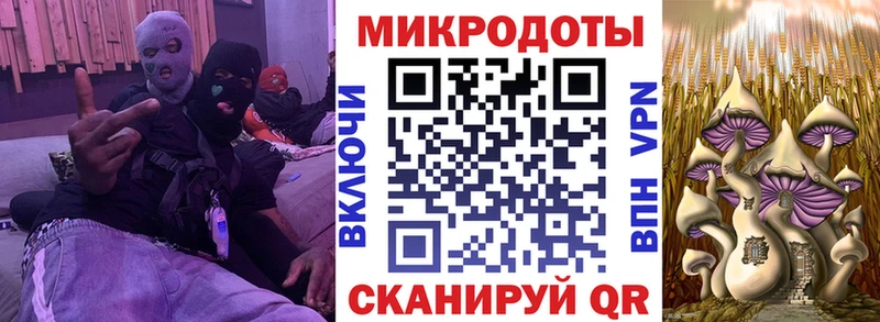 ссылка на мегу ONION Братск Псилоцибиновые грибы Psilocybe